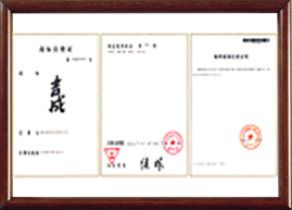 擁有75項知識產權 擁有75項知識產權