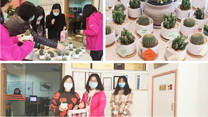 三八婦女節，向閃閃發光的環保女神們致敬